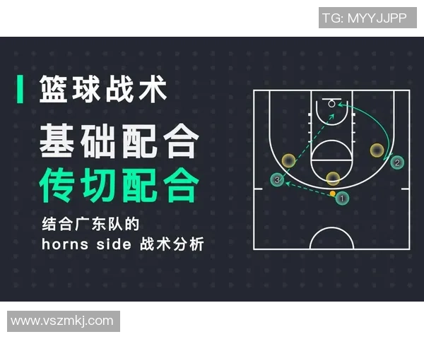 深圳篮球队的整体压制分析与战术解读探讨